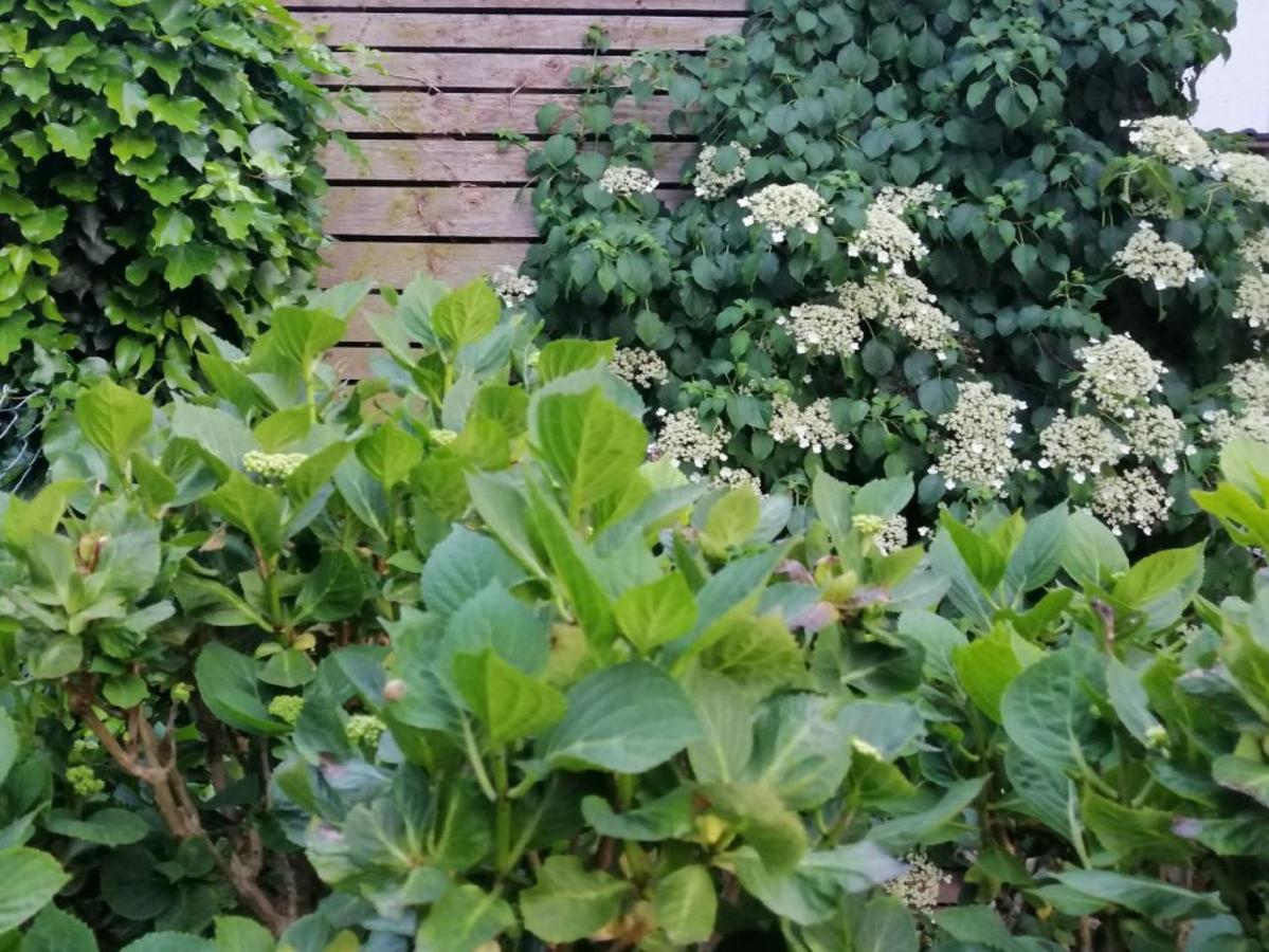 Ferienwohnung Am Steinchen Mettlach Exteriér fotografie