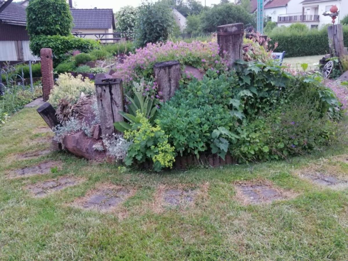 Ferienwohnung Am Steinchen Mettlach Exteriér fotografie